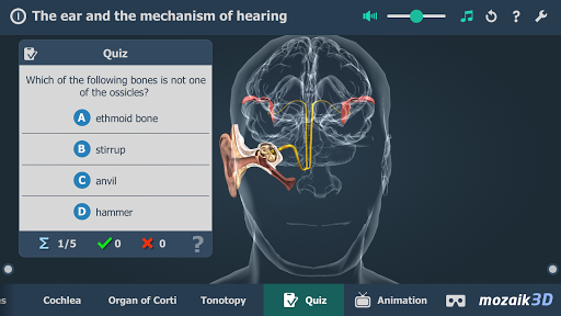 The mechanism of hearing 3D - Image screenshot of android app