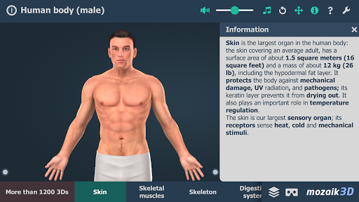 Human body (male) 3D scene - Image screenshot of android app