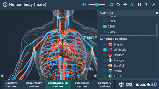 Human body (male) 3D scene - Image screenshot of android app