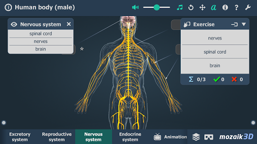 Human body (male) 3D scene - Image screenshot of android app