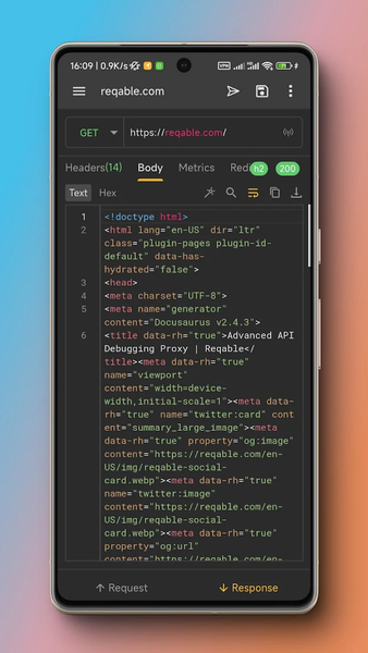 Reqable API Testing & Capture - Image screenshot of android app