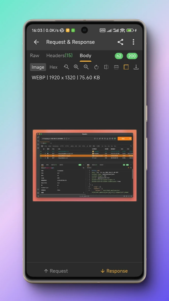 Reqable API Testing & Capture - Image screenshot of android app