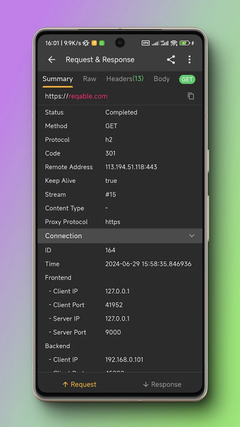 Reqable API Testing & Capture - Image screenshot of android app