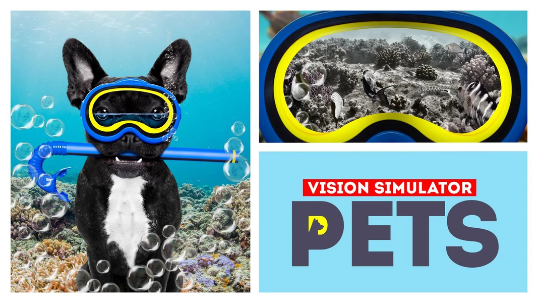 Vision pets simulator - Gameplay image of android game