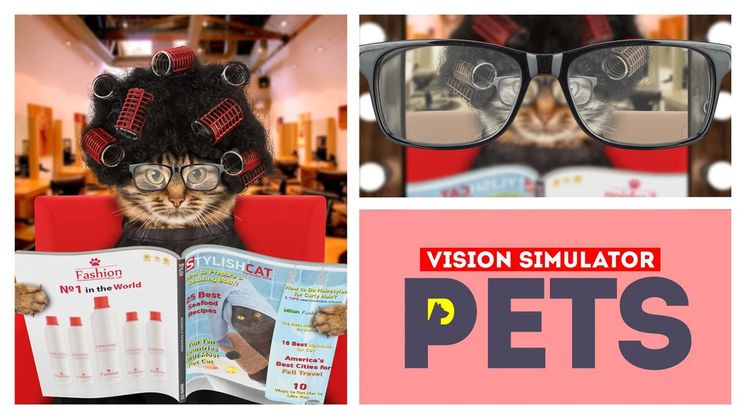 Vision pets simulator - Gameplay image of android game