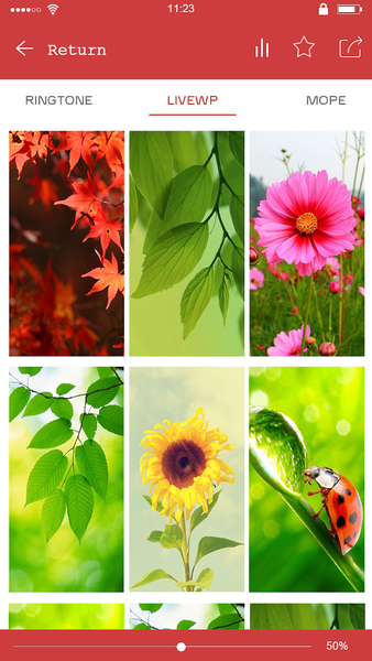 New Top Ringtones & Wallpaper - Image screenshot of android app