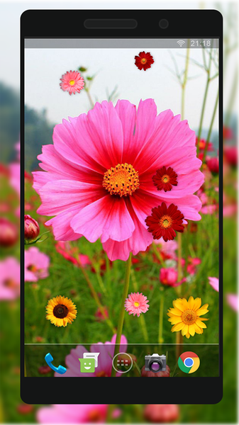 New Top Ringtones & Wallpaper - Image screenshot of android app