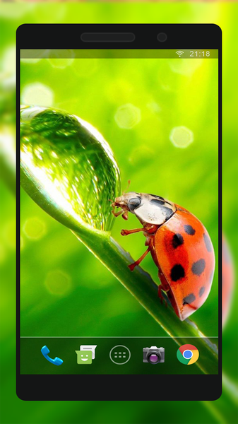 New Top Ringtones & Wallpaper - Image screenshot of android app