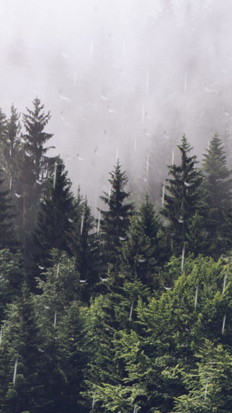 Rain Calm Meditation - عکس برنامه موبایلی اندروید