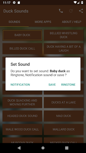 Duck Sounds - Image screenshot of android app