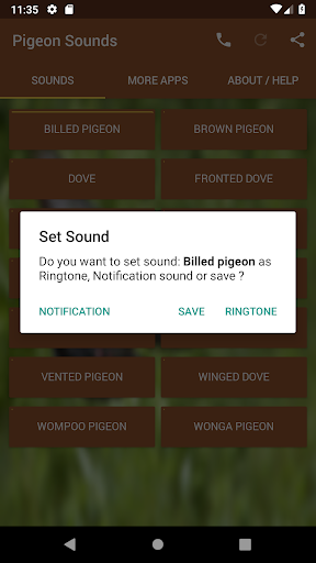 Pigeon Sounds - Image screenshot of android app