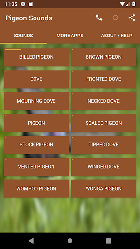 Pigeon Sounds - Image screenshot of android app