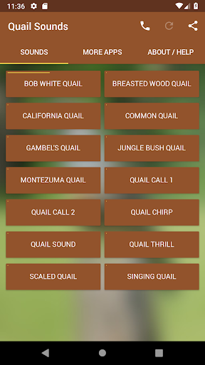 Quail Sounds - Image screenshot of android app