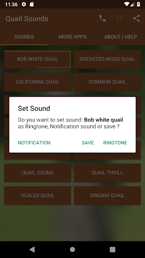 Quail Sounds - Image screenshot of android app