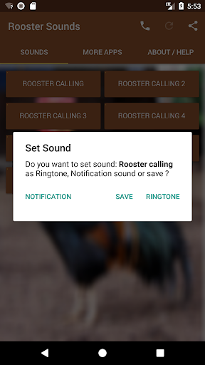 Rooster Sounds - Image screenshot of android app