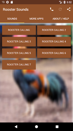 Rooster Sounds - Image screenshot of android app