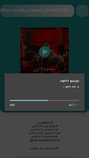 Rubinio downloader - Image screenshot of android app