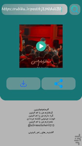 Rubinio downloader - Image screenshot of android app