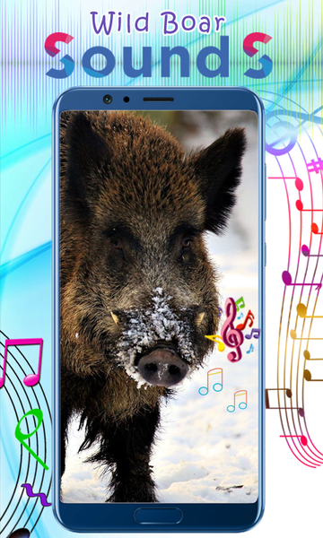 Wild Boar Sounds - Image screenshot of android app