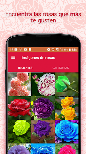 Pictures of Roses - Image screenshot of android app