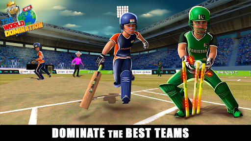 RVG Real World Cricket Game 3D - Gameplay image of android game