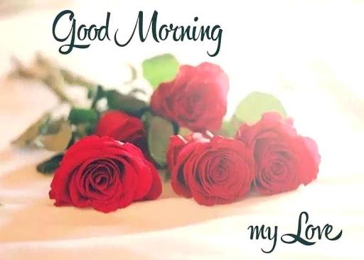 Romantic Flowers Images Gif 🌹 - عکس برنامه موبایلی اندروید