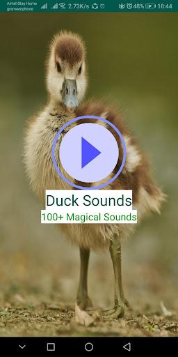 Duck Sound | Duck Quack Sound | Duck Call Sounds - عکس برنامه موبایلی اندروید