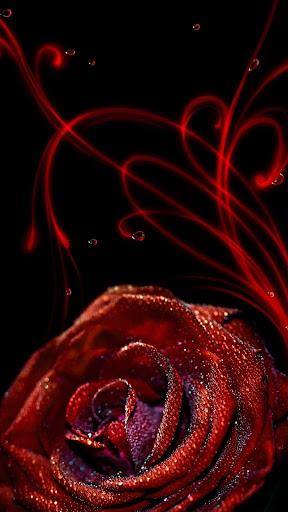 Romantic Roses Magic Flower HD - عکس برنامه موبایلی اندروید