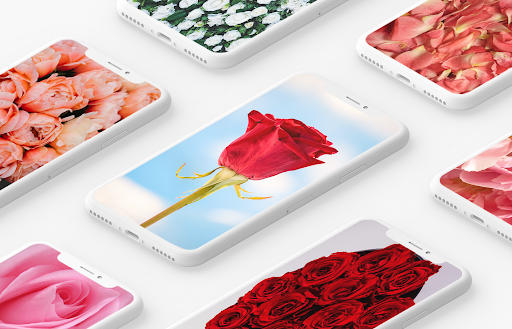 Rose wallpaper - عکس برنامه موبایلی اندروید