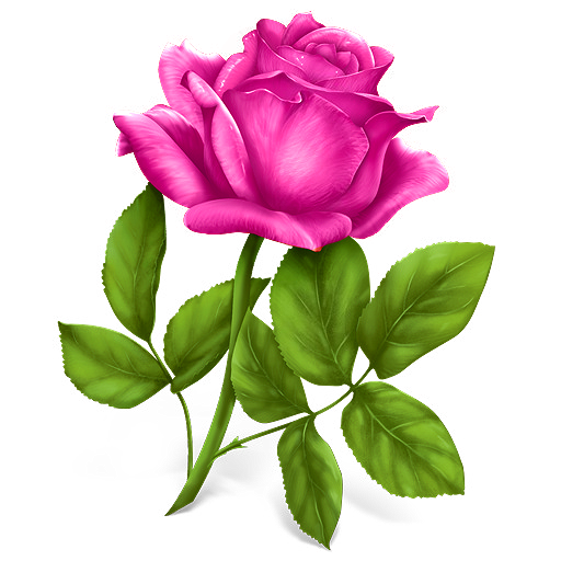 Flower Rose Live Wallpaper Gif - عکس برنامه موبایلی اندروید
