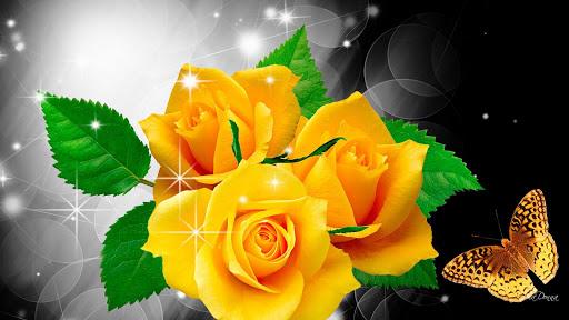 Flower Rose Live Wallpaper Gif - عکس برنامه موبایلی اندروید
