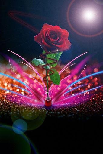 Flower Rose Live Wallpaper Gif - عکس برنامه موبایلی اندروید