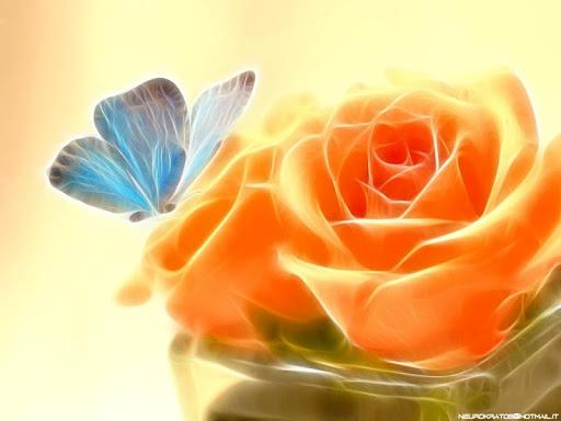 Flower Rose Live Wallpaper Gif - عکس برنامه موبایلی اندروید