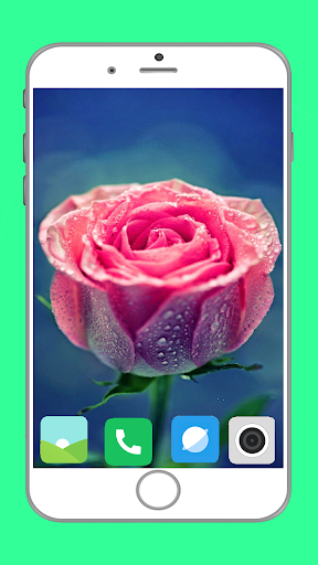 Rose Wallpaper Full HD - Image screenshot of android app