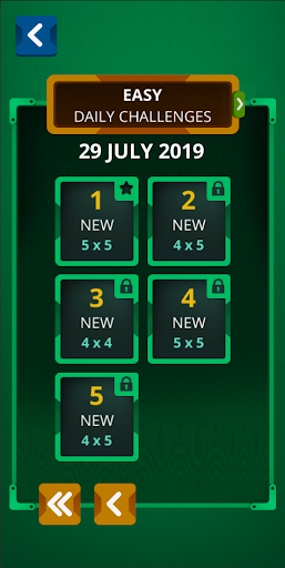 Einstein's Riddle Logic Puzzle - عکس بازی موبایلی اندروید