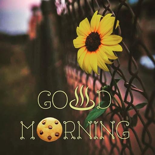 Good Morning Flower Wishes - Image screenshot of android app