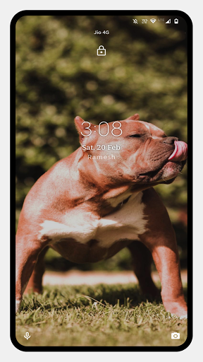 Pitbull Dog Wallpaper - Image screenshot of android app