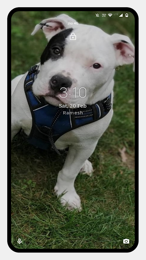 Pitbull Dog Wallpaper - Image screenshot of android app