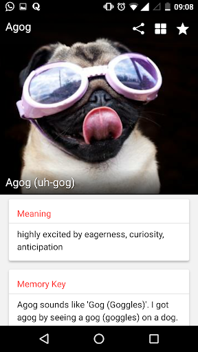 VoLT Vocabulary Builder - Image screenshot of android app