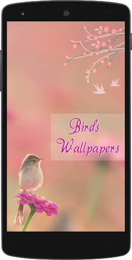 Bird Wallpapers HD - Image screenshot of android app
