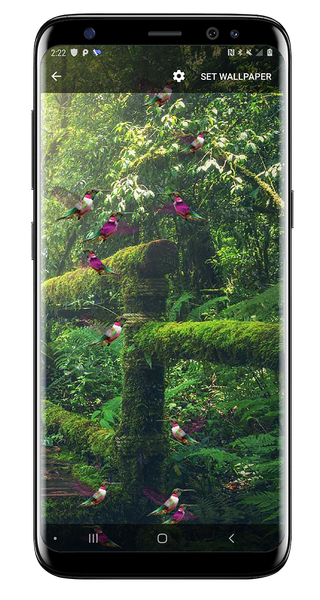 Birds Flying Live Wallpaper - Image screenshot of android app