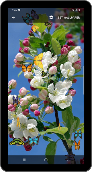 Butterfly and Blossom live wallpaper - عکس برنامه موبایلی اندروید