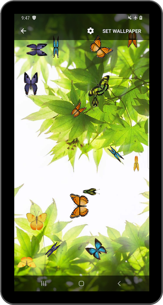 Butterfly and Blossom live wallpaper - عکس برنامه موبایلی اندروید