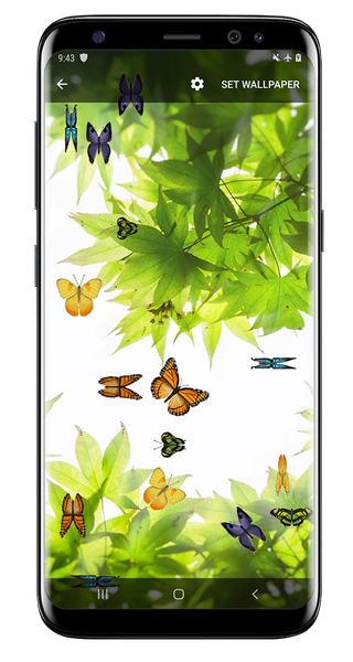 Butterfly and Blossom live wallpaper - عکس برنامه موبایلی اندروید