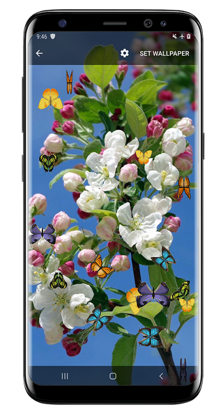 Butterfly and Blossom live wallpaper - عکس برنامه موبایلی اندروید