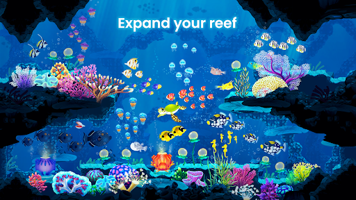 Splash — Fish Aquarium - Gameplay image of android game