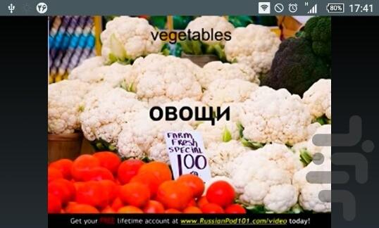 لغات کاربردی زبان روسی - Image screenshot of android app