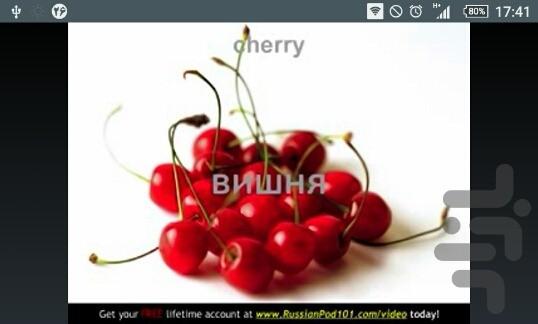 لغات کاربردی زبان روسی - Image screenshot of android app