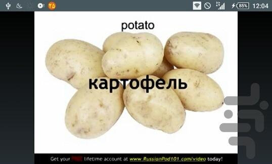 لغات کاربردی زبان روسی - Image screenshot of android app