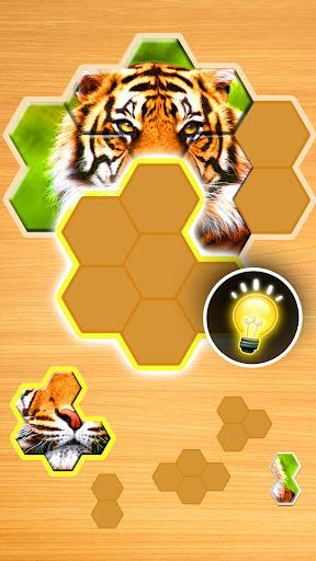 Jigsaw Puzzles Hexa - عکس بازی موبایلی اندروید